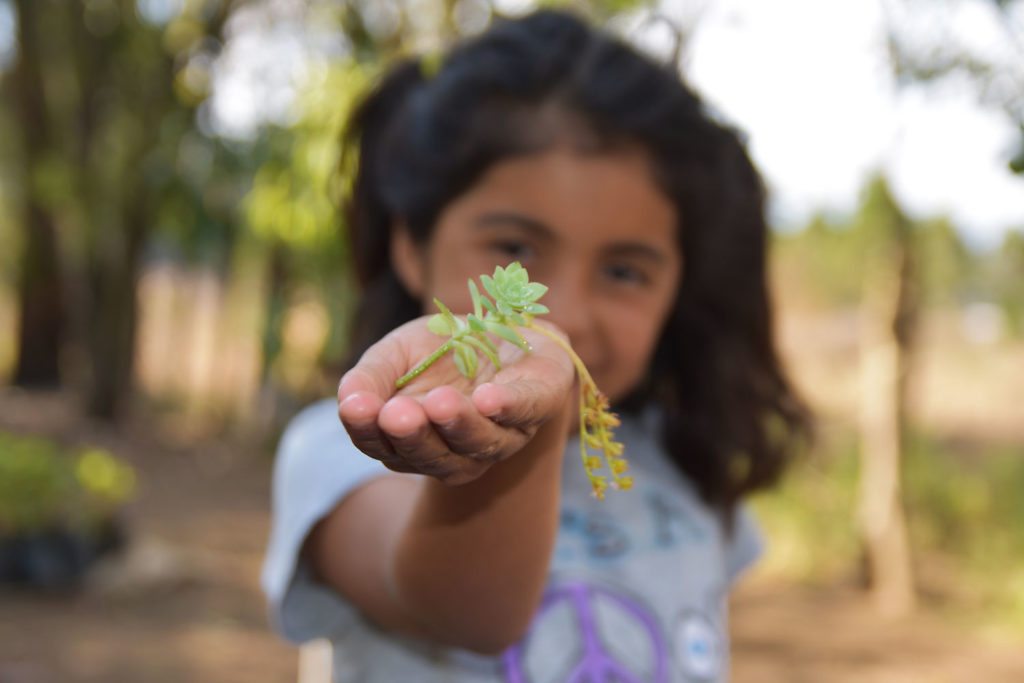 Girl with seedling ready for sowing